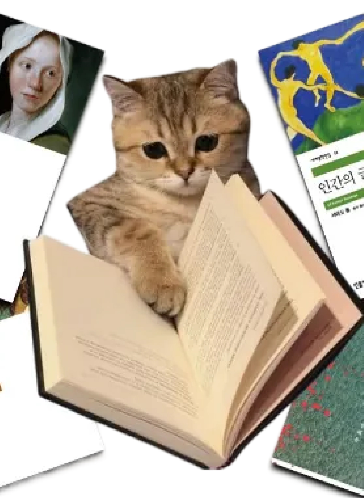 북 큐레이팅 채널 ‘힙스터지망생’ 운영자