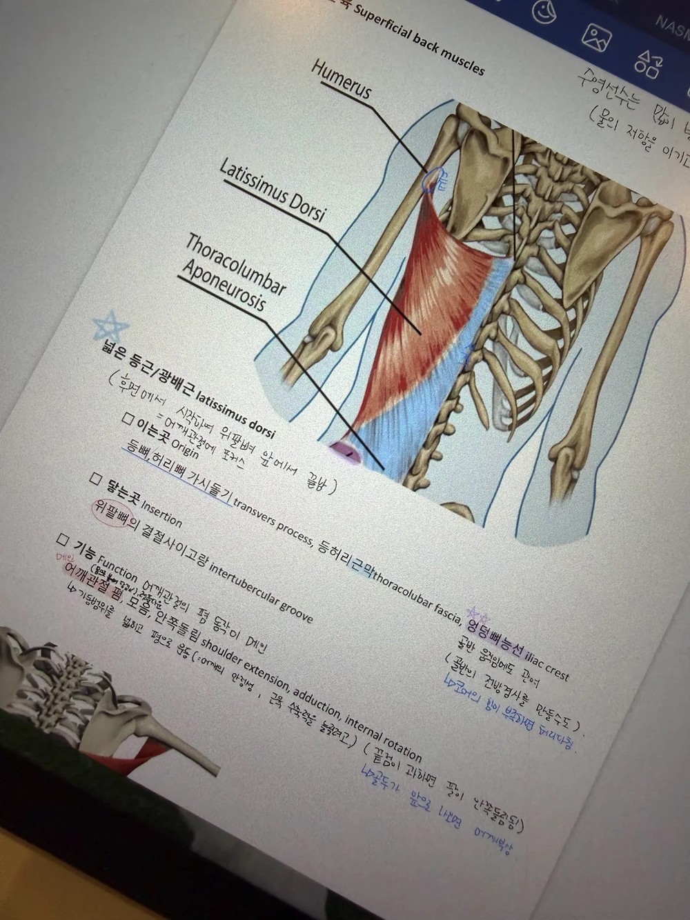 홍수연 후기