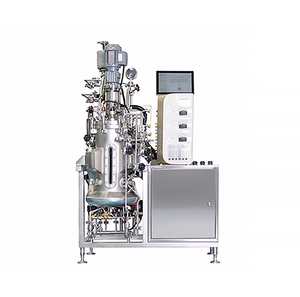 Multi-Use Stainless Steel Bioreactors, Pilot Bioreactor