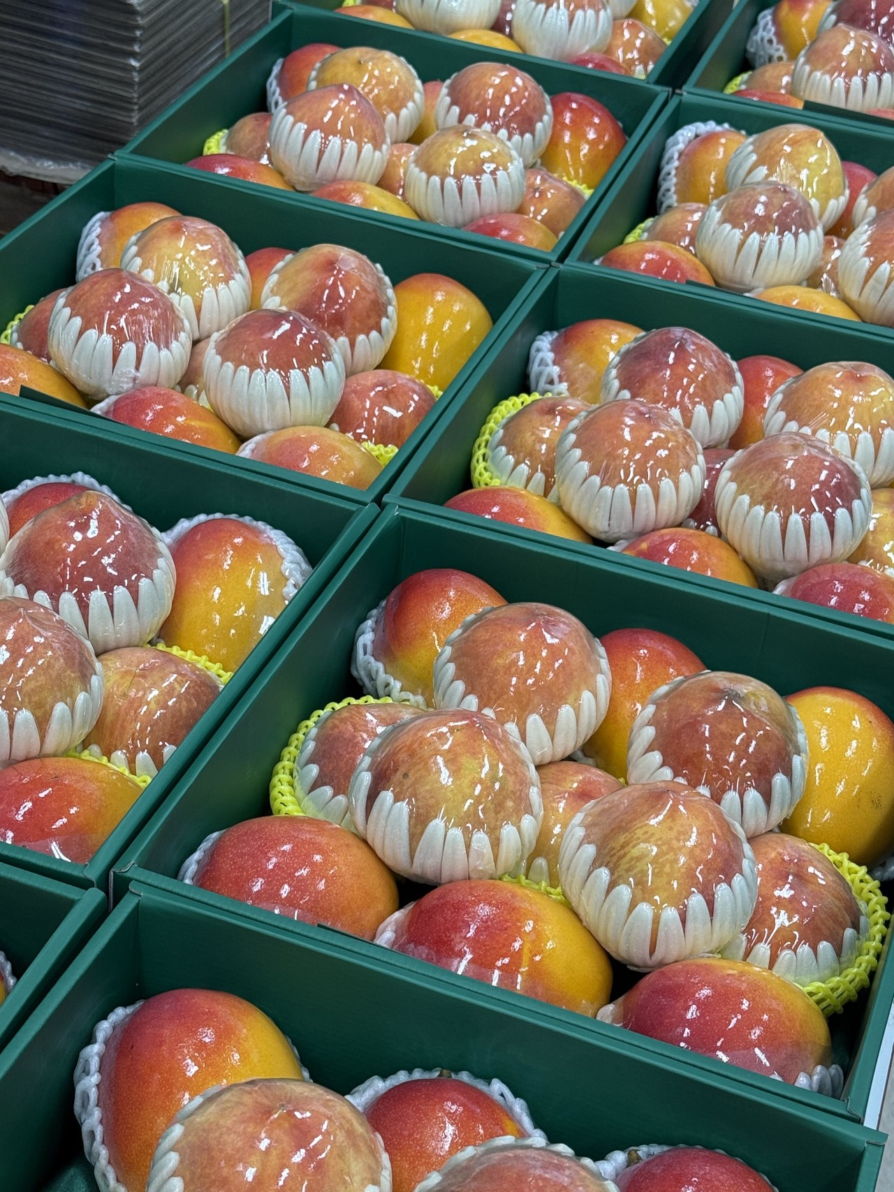 아주밍 기업고객 후기