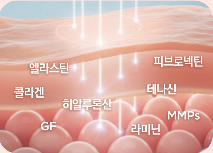 리쥬란 힐러 이미지