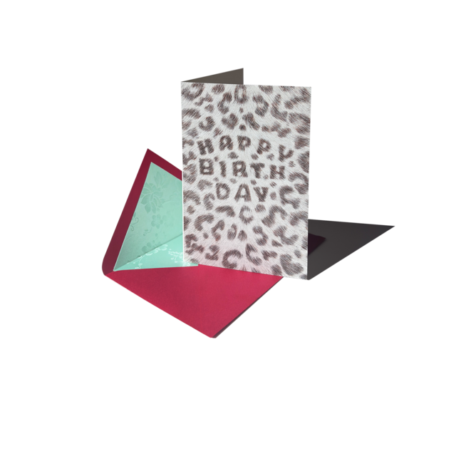 든든한 생일의 수호