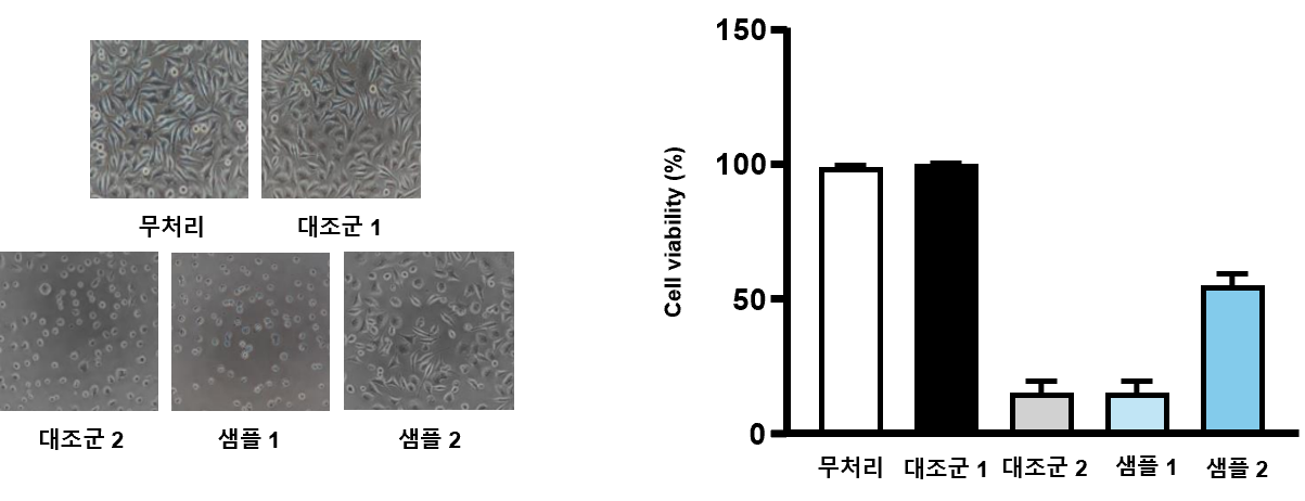 의료기기 세포독성 서비스 결과예시