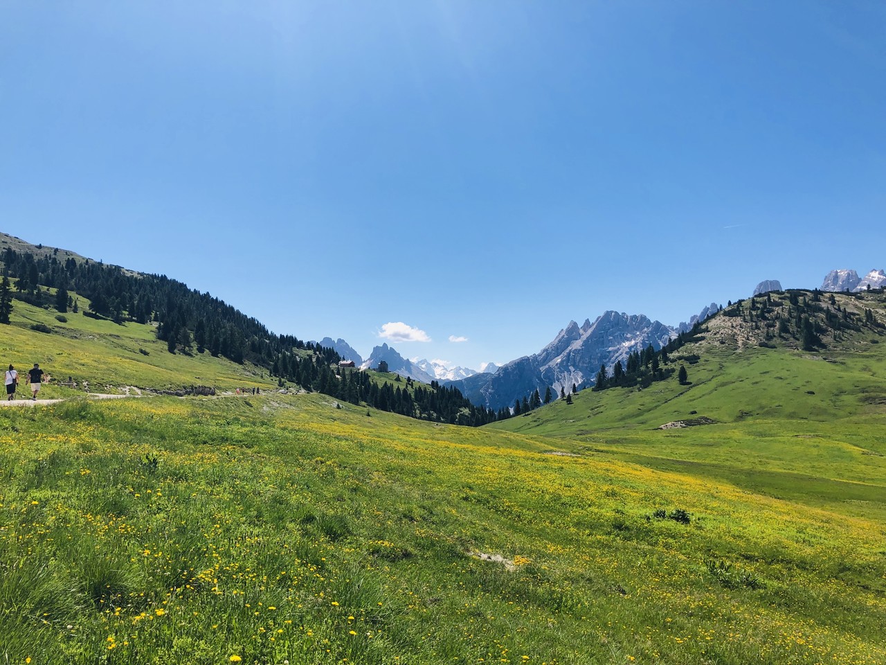 소규모 이탈리아 돌로미티 여행 알페디시우시 미식 와이너리 돌로미티초보자