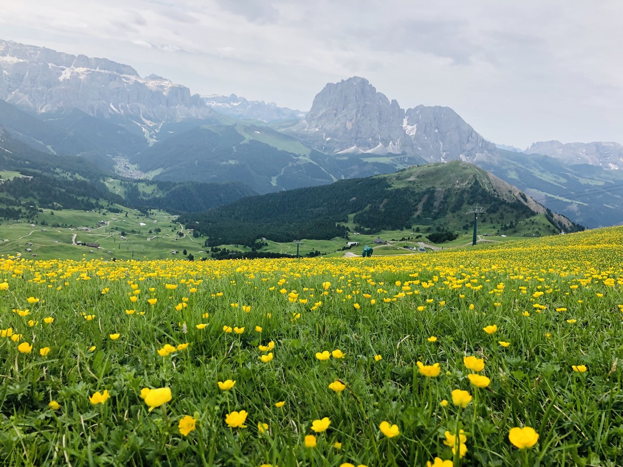 이탈리아 돌로미티 와이너리 세체다 트래킹 유럽 소규모여행