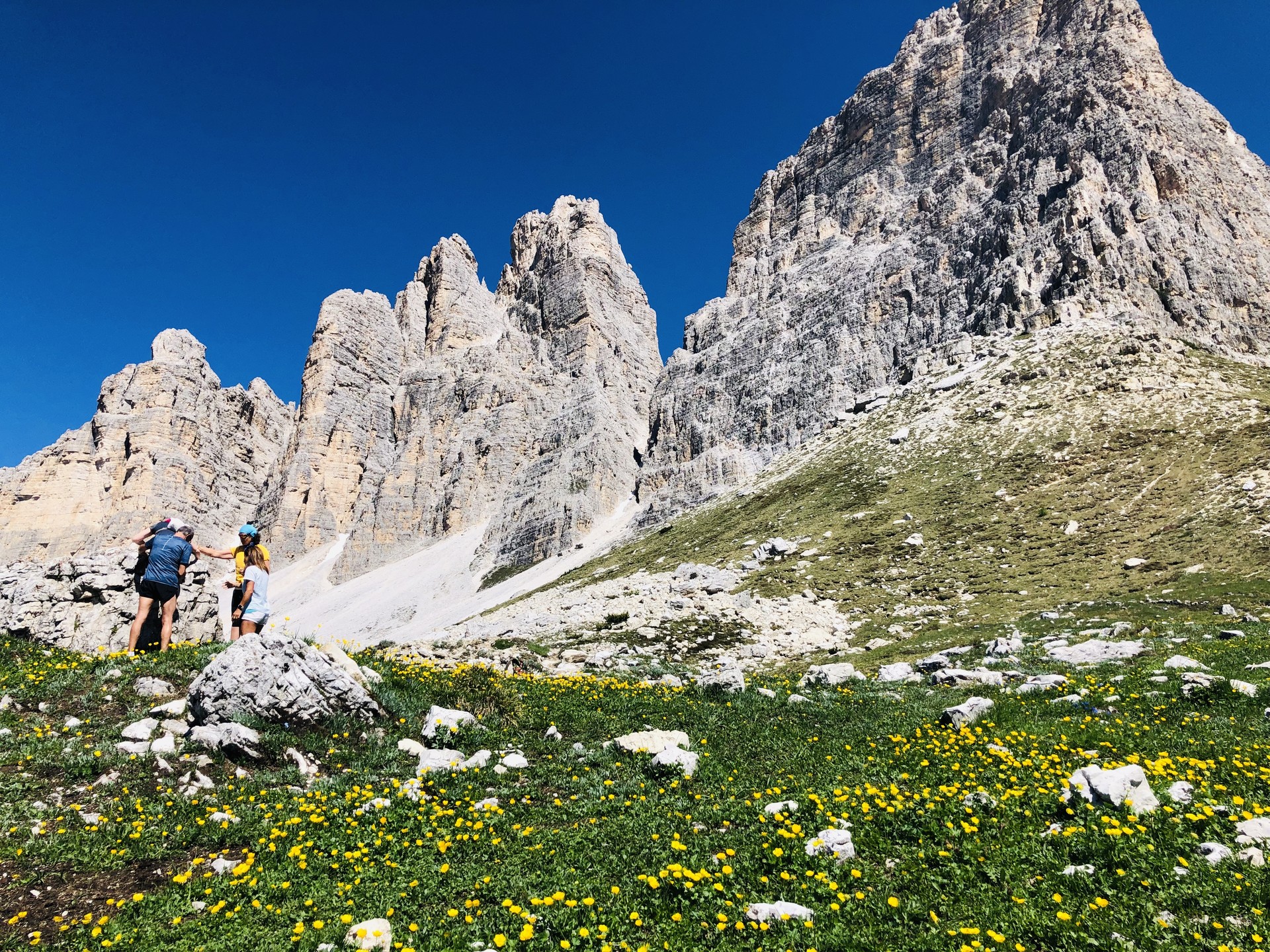 소규모 이탈리아 돌로미티 여행 알페디시우시 미식 와이너리 돌로미티초보자 파르마 피에몬테 바롤로 와이너리 와인