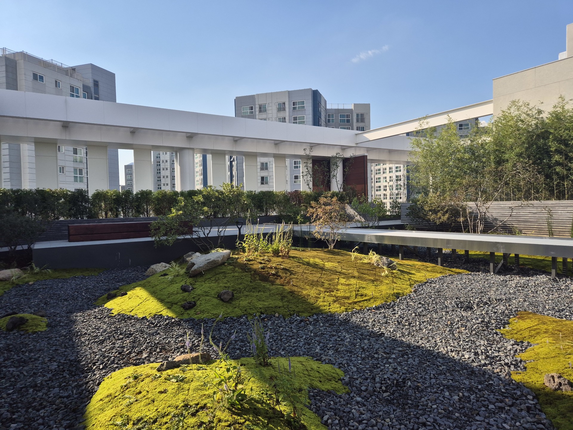 Cloud Valley : Journey to the Deep Forest