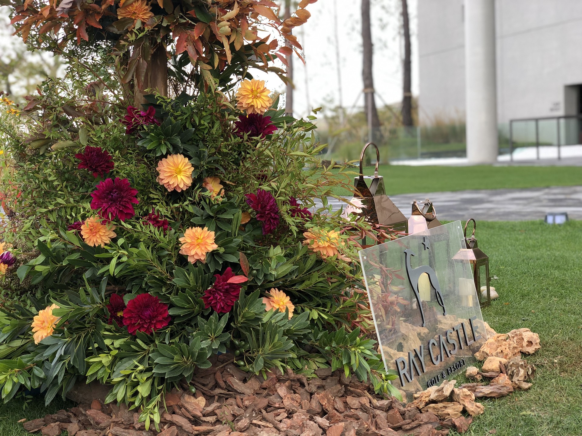 <p style="text-align: center; line-height: 1.15;"><span style="font-size: 20px; color: rgb(255, 255, 255);">[2019]</span></p>  <p style="line-height: 1.15; text-align: center;"><span style="color: rgb(255,255,255);"><span style="font-size: 60px;">세종 레이캐슬 C.C 클럽하우스</span></span></p>  <p style="line-height: 1.15; text-align: center;"><span style="font-size: 30px; color: rgb(255,255,255);"></span></p>