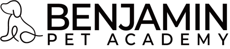 벤자민애견미용학원