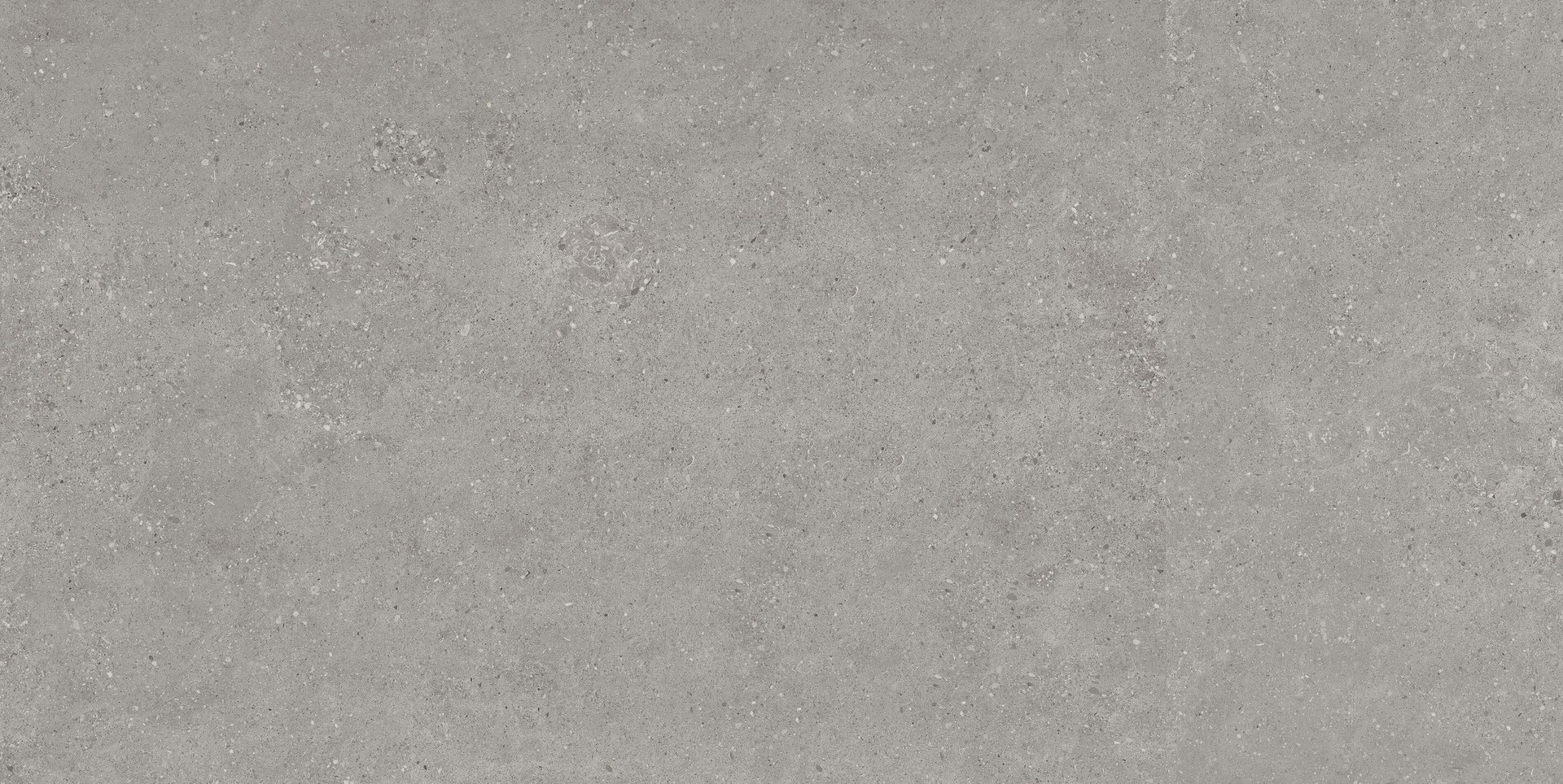 WEB_1830