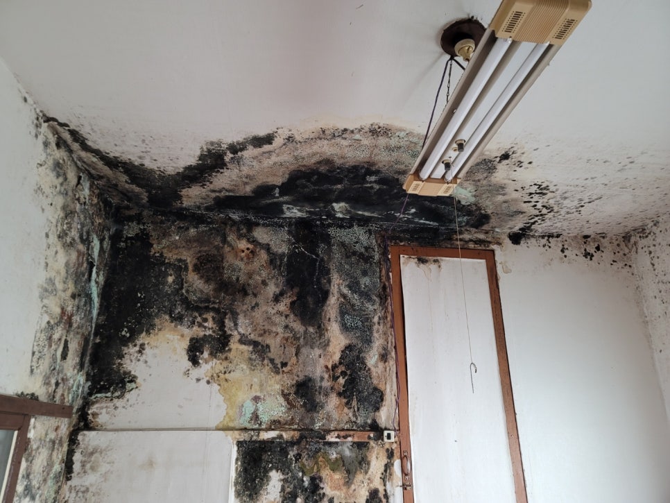 주택 부동전 누수 현장