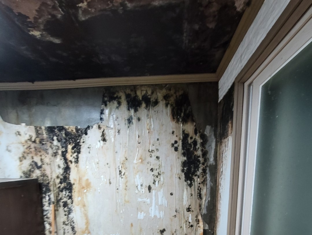 타업체 5곳이 실패한 현장