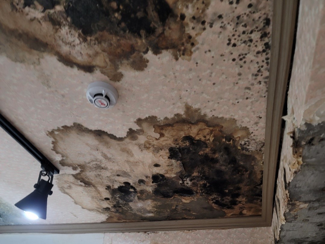 역대급 누수 TOP3