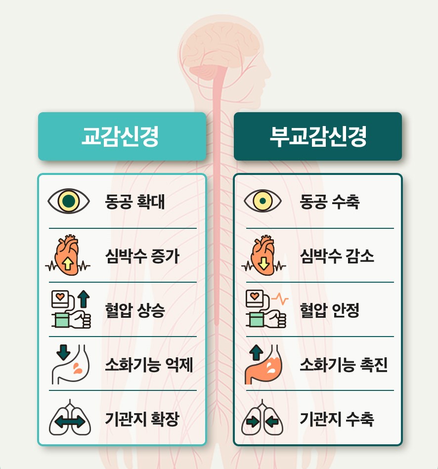 자율신경실조증