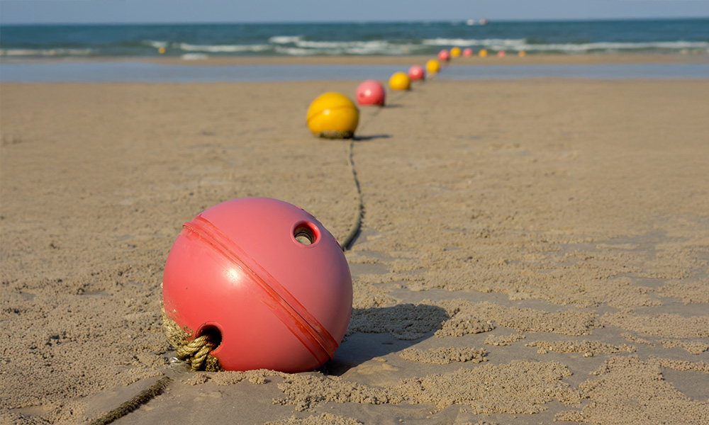 Lolen Shampoo<br>Cras fermentum odio eu.<br><br><br> 15,900won