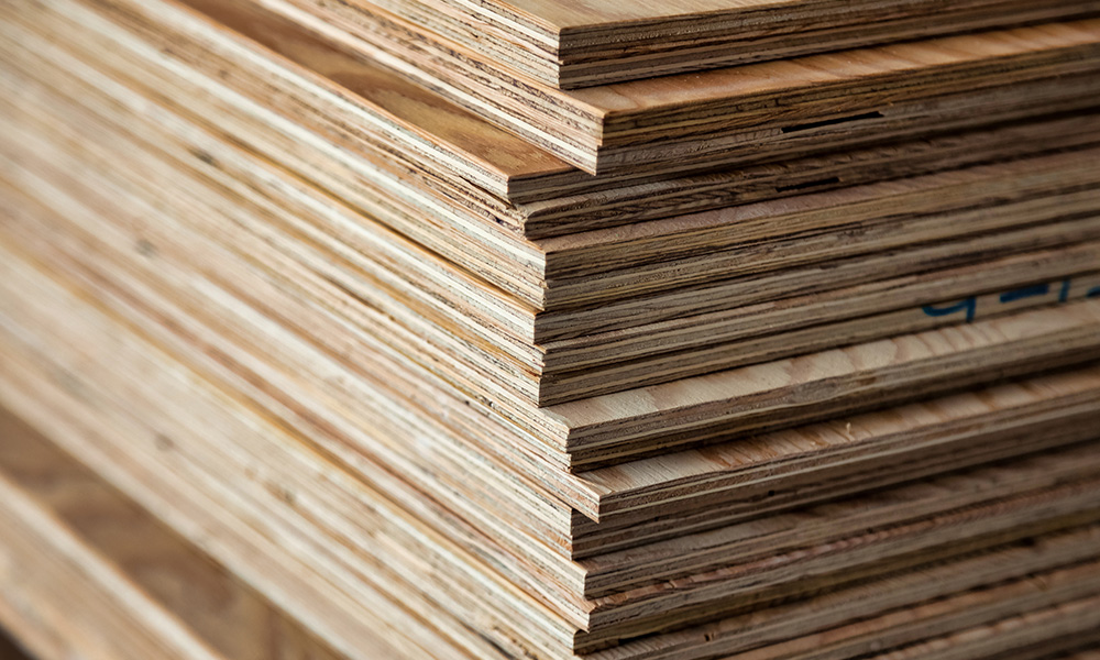 Lolen Shampoo<br>Cras fermentum odio eu.<br><br><br> 15,900won