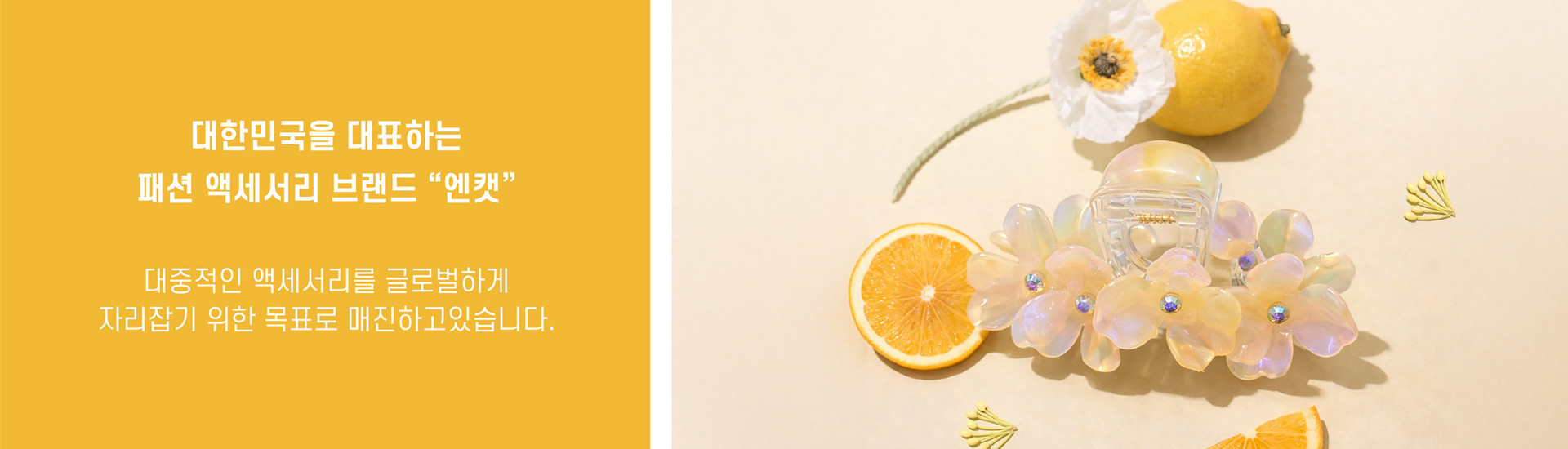 대한미국을 대표하는 패션 액세서리 브랜드 N.CAT