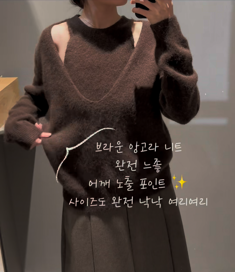 PBPTANI09 브라운 앙고라 레이어드 니트