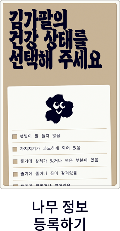 나무 정보 등록하기