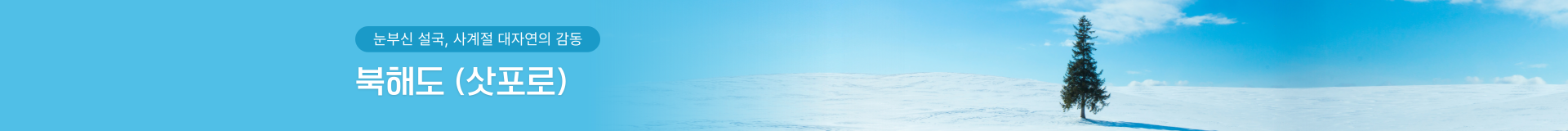 부산 출발 북해도 삿포로 여행 상품 안내