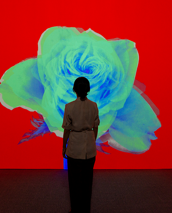 FLOWER ODYSSEY, 꽃의 서사시 - 아르떼뮤지엄 여수 - 아르떼뮤지엄 강릉