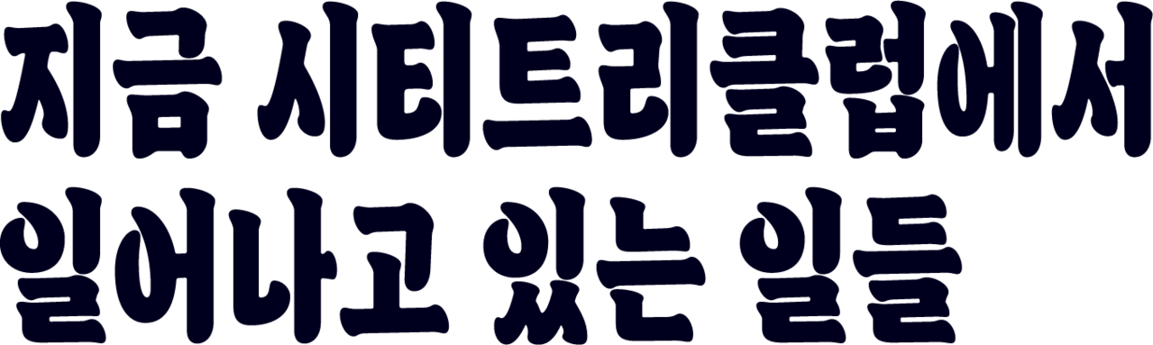 지금 시티트리클럽에서 일어나고 있는 일들