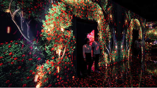 FLOWER CAMELLIA, 생명의 순환과 사랑의 상징 동백.  - 아르떼뮤지엄 강릉