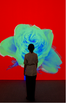 FLOWER ODYSSEY, 꽃의 서사시 - 아르떼뮤지엄 여수 - 아르떼뮤지엄 강릉