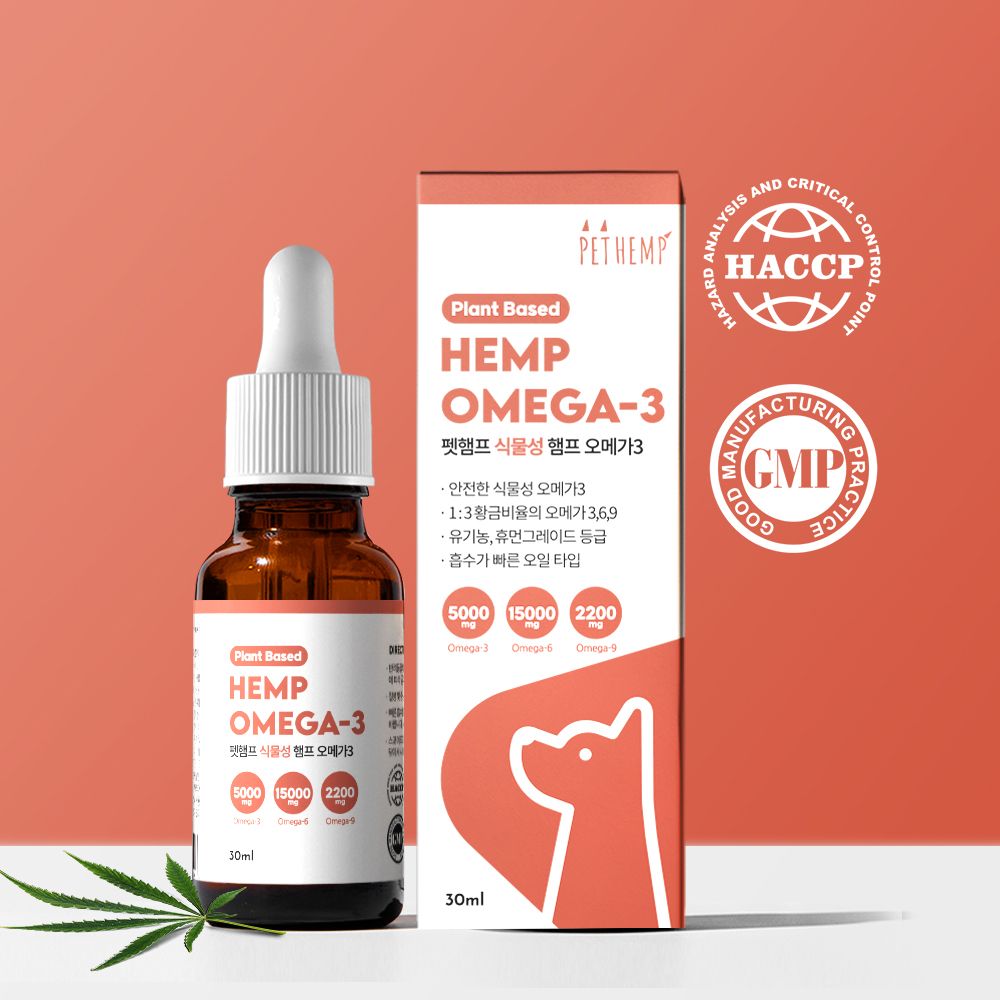 식물성 오메가3