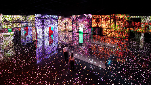 FLOWER ROSE, 사랑과 아름다움의 상징인 꽃의 여왕. - 아르떼뮤지엄 부산