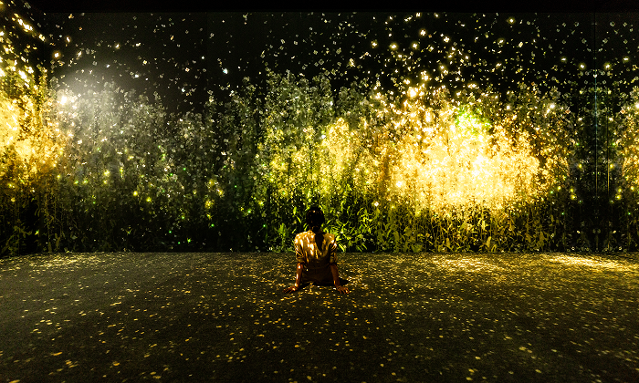 <span class="artwork-new">new</span>