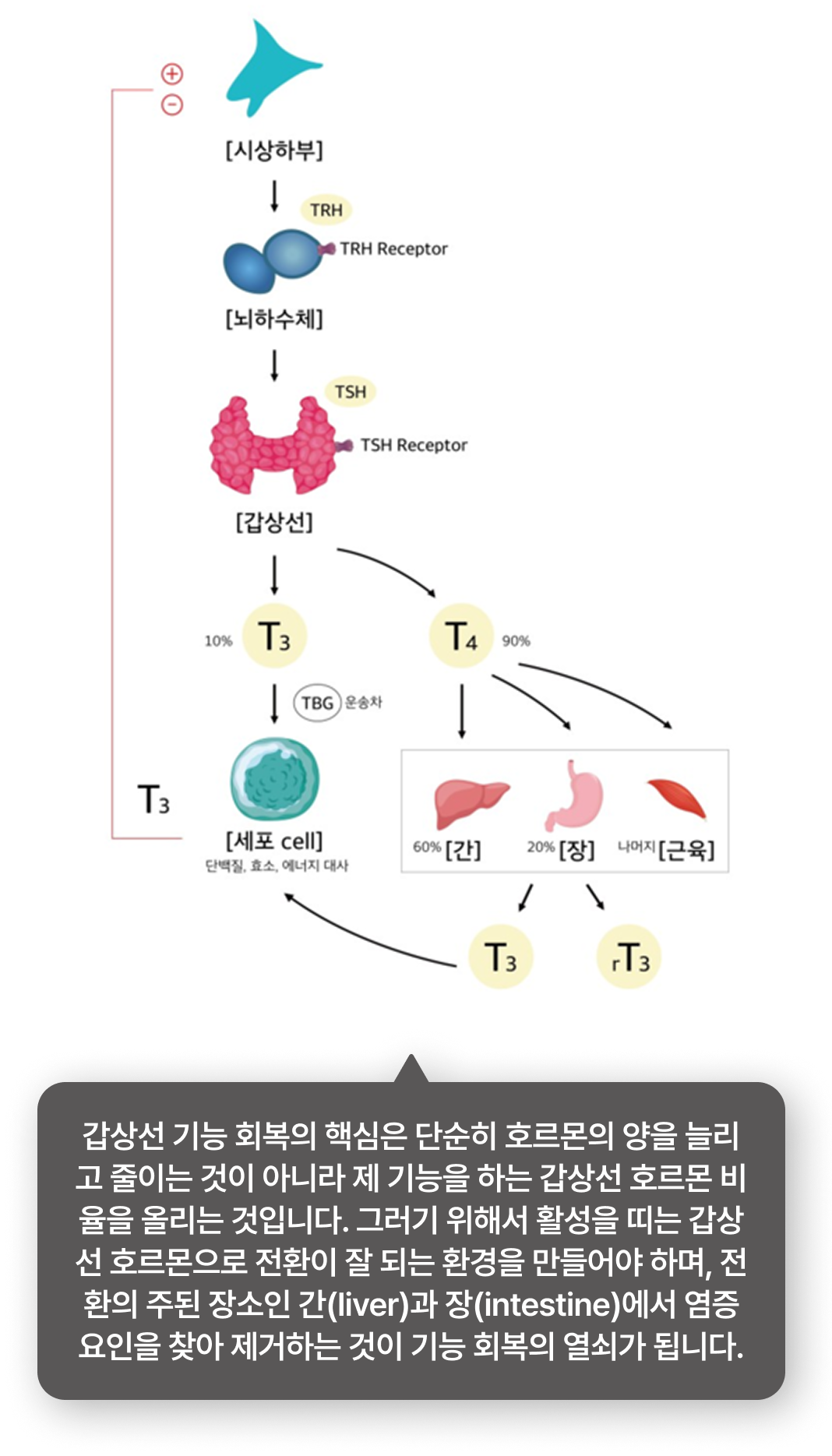 이비엠