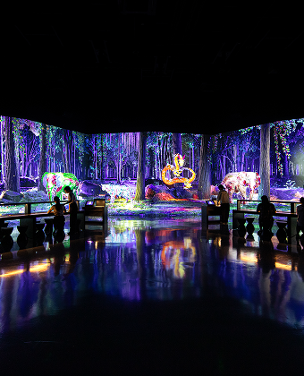 JUNGLE GLOW, 어둠이 찾아온 깊은 밤, 반짝이는 생명체들이 빛을 밝히는 정글.  - 아르떼뮤지엄 부산