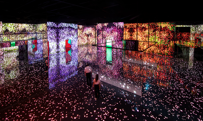 FLOWER ROSE, 사랑과 아름다움의 상징인 꽃의 여왕. - 아르떼뮤지엄 부산