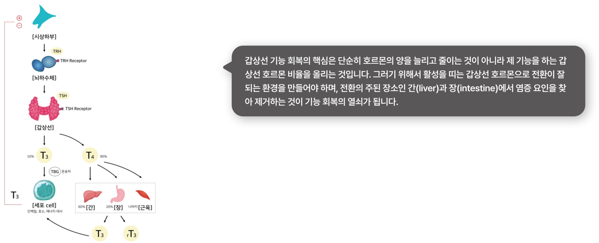 이비엠