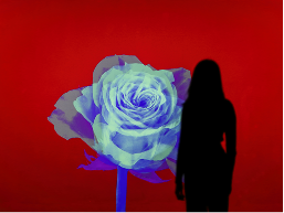 FLOWER ODYSSEY, 꽃의 서사시. - 아르떼뮤지엄 부산