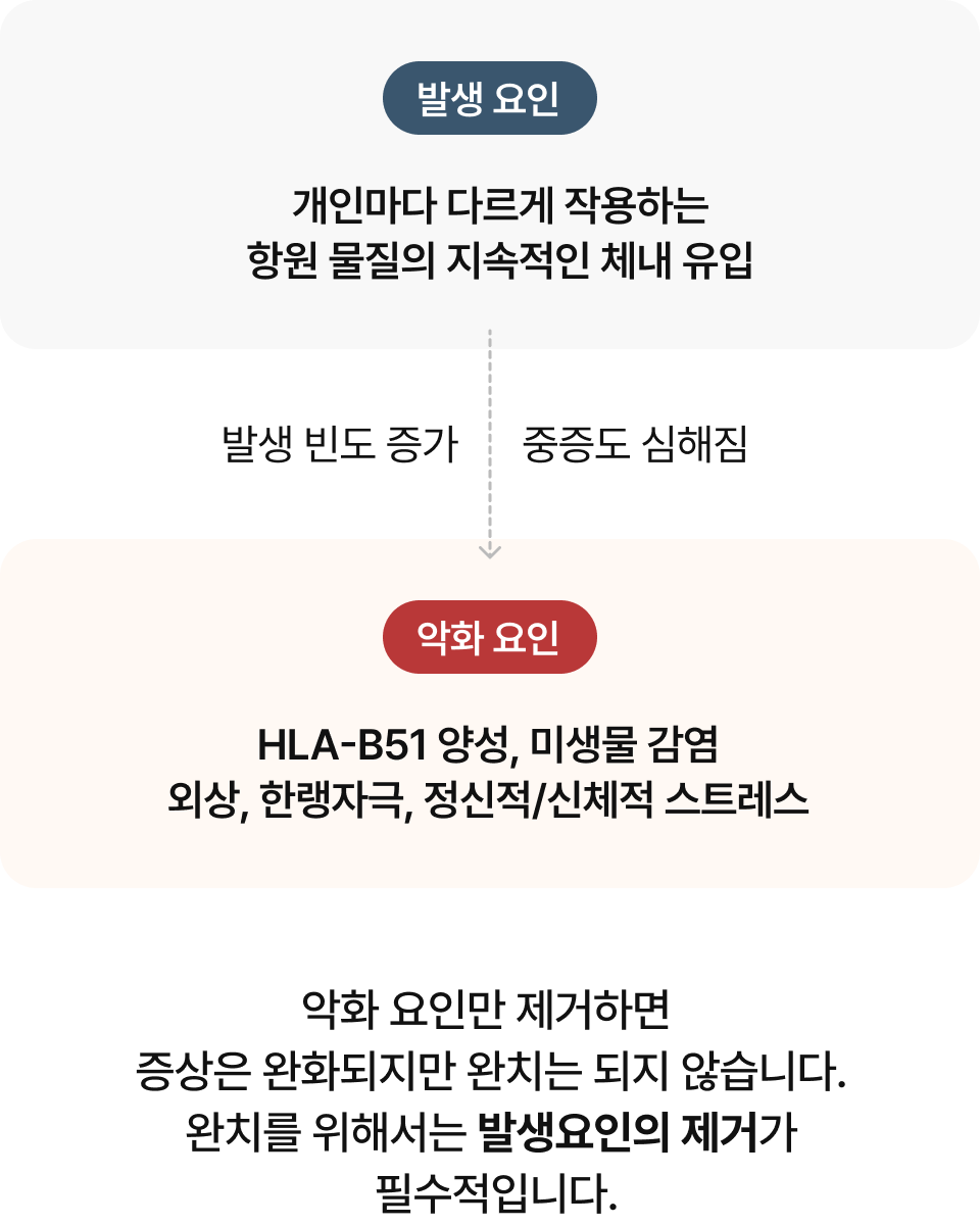 이비엠
