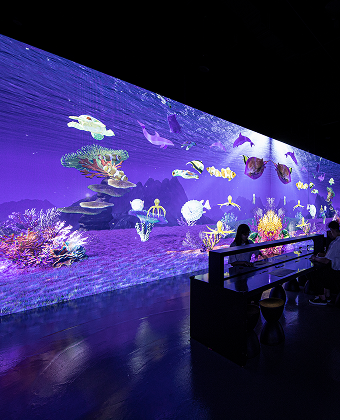 <span class="artwork-new">new</span>