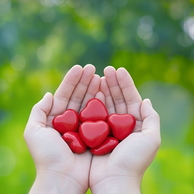 상담전문가 소개