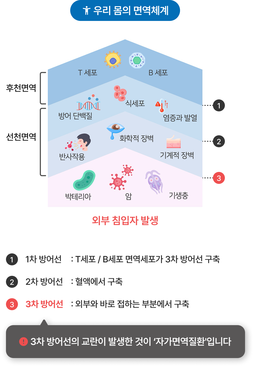 이비엠