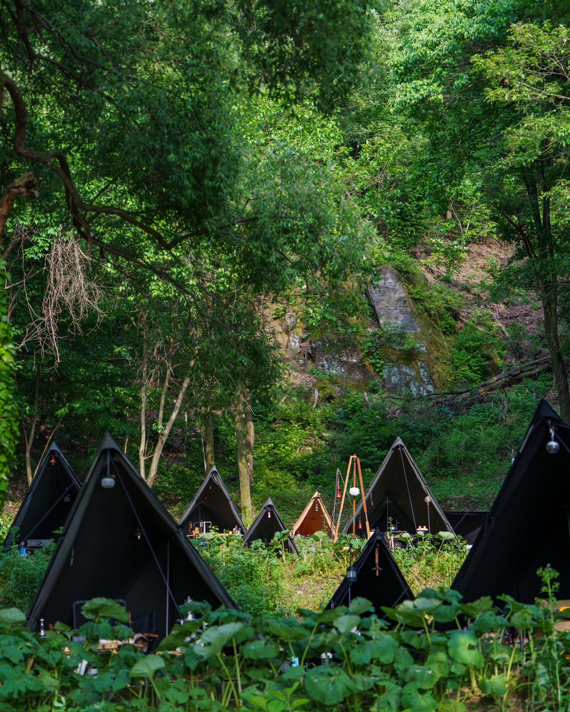 unak day 운악유저들과 함께  운악 데이