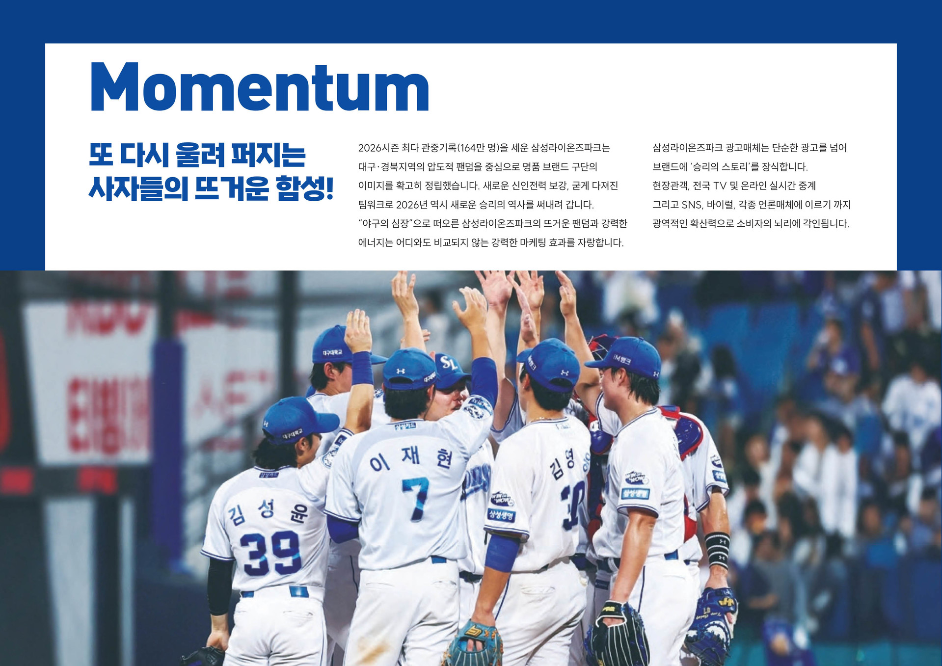 삼성라이온스광고