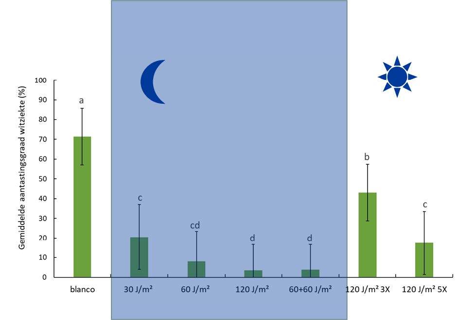 주3회, 30J 또는 60J로 방제시 식물에 부정적인 영향을 주지 않으면서 발병률은 낮출 수 있음