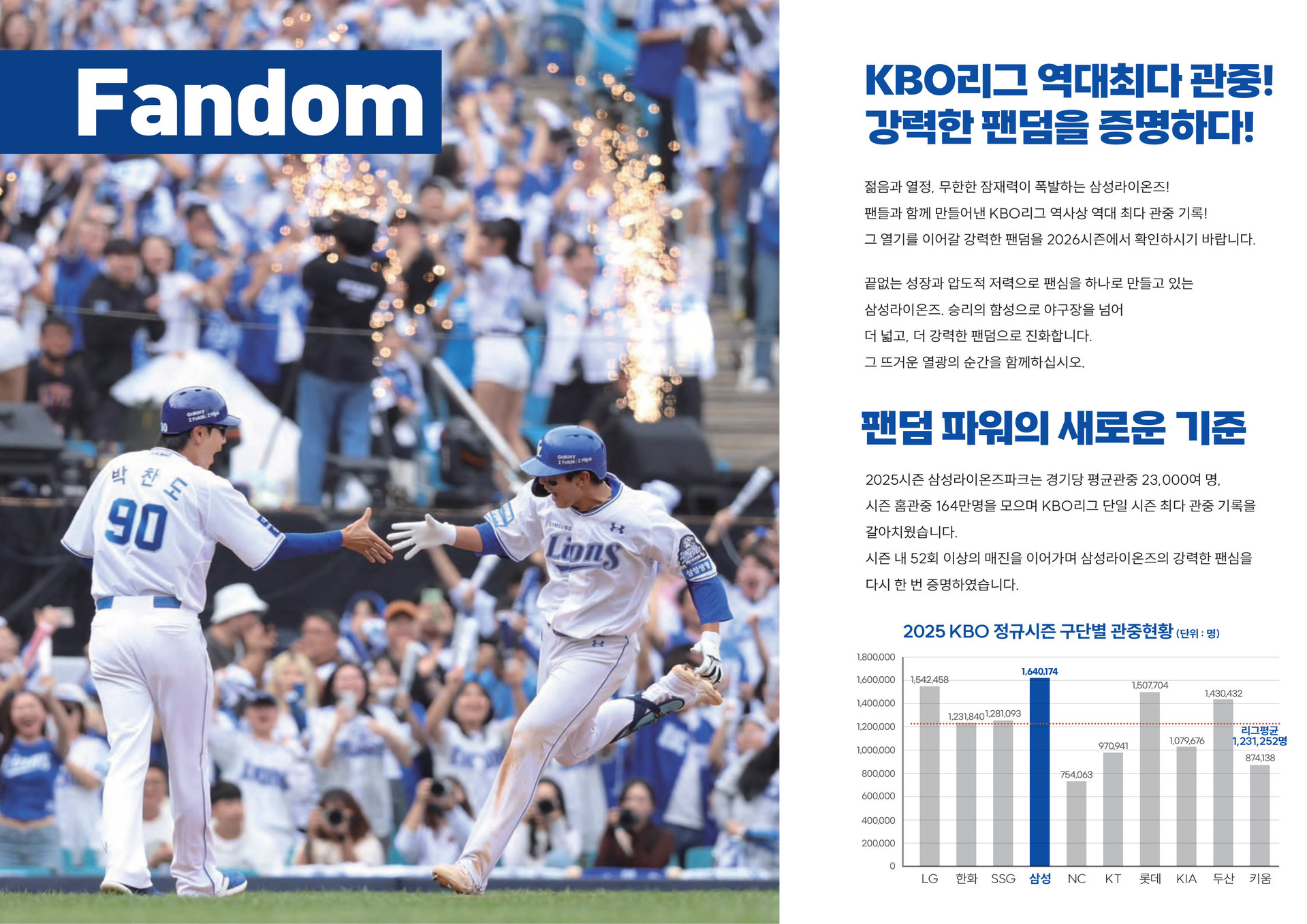 삼성라이온스광고