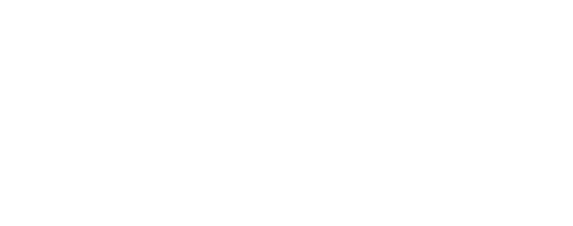 비발디파크 로고