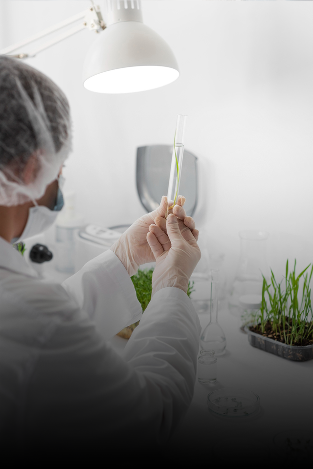 <p><span style="font-size: 24px;"><strong><span style="letter-spacing: -1px;">아로마웰니스 연구&middot;개발</span></strong></span></p>  <p> 	<br> </p>  <p><span style="font-size: 18px; letter-spacing: -1px;">향기와 웰니스 효과에 대한 연구와</span></p>  <p><span style="font-size: 18px; letter-spacing: -1px;">프로그램 개발을 진행합니다.</span></p>