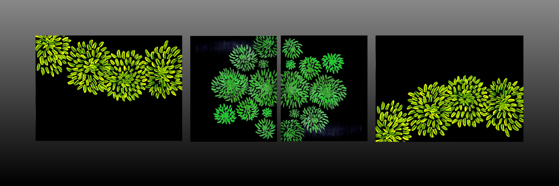 mobile background