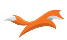 디앤케이 코리아