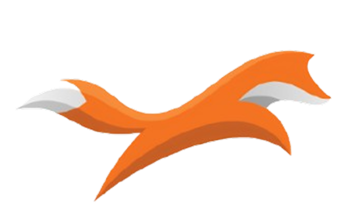 디앤케이 코리아