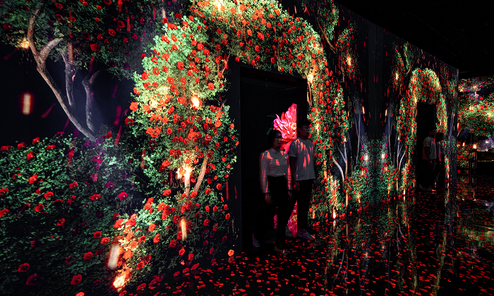 FLOWER CAMELLIA, 생명의 순환과 사랑의 상징 동백.  - 아르떼뮤지엄 강릉